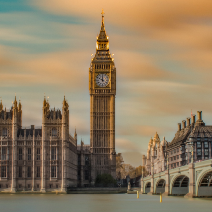 Wealth Managers & Institutions