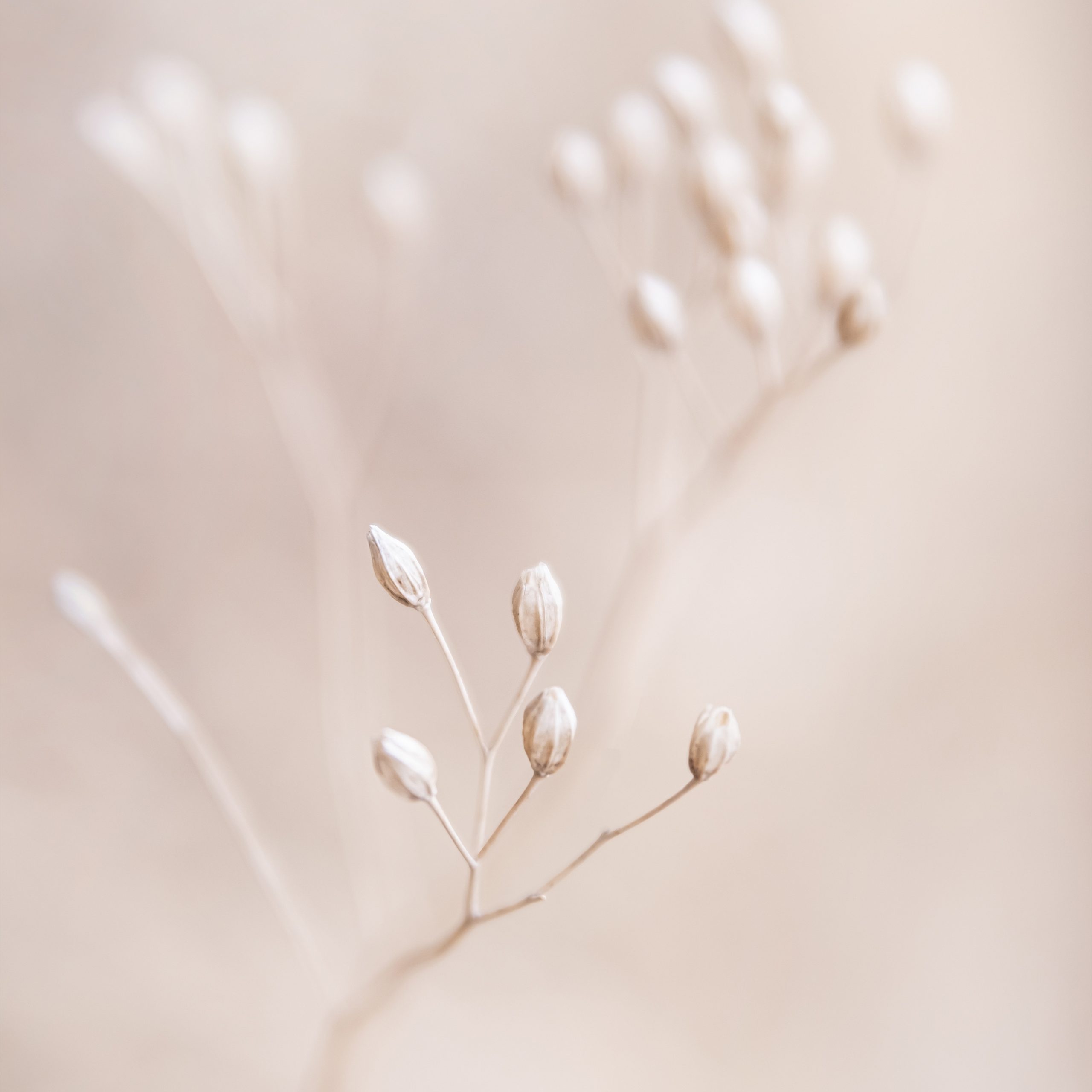 Advisory Services A Better Outcome